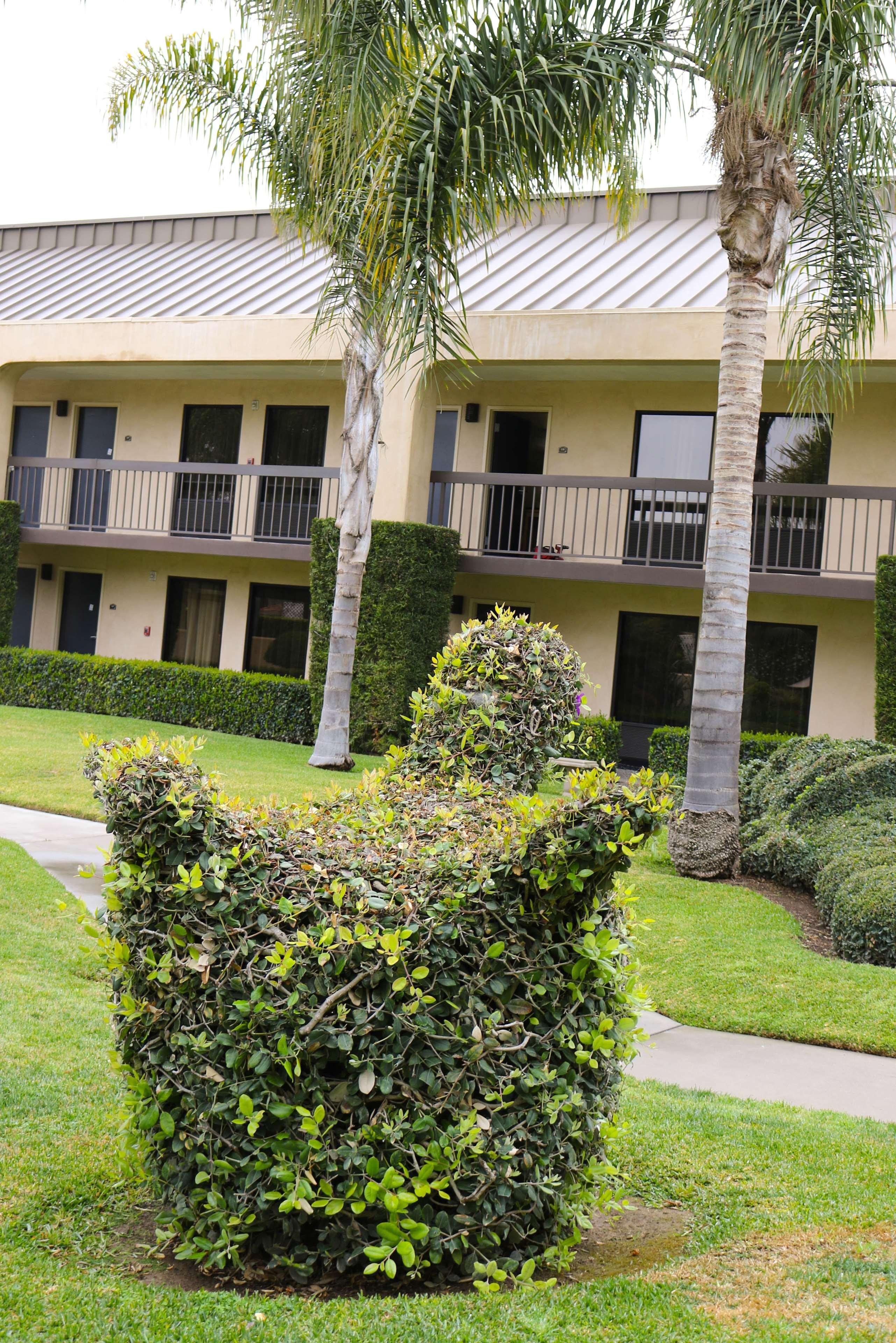Best Western Plus South Coast Inn Goleta Bagian luar foto